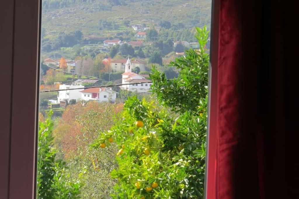 Sweet Home Braga - 4 Rooms Apartment Esterno foto