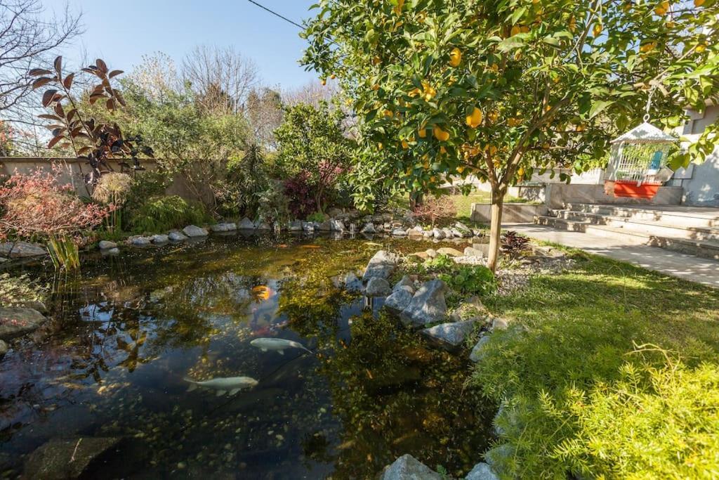 Sweet Home Braga - 4 Rooms Apartment Esterno foto